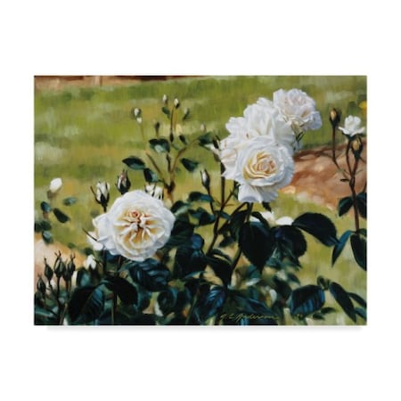 Robin Anderson 'White Roses' Canvas Art,14x19